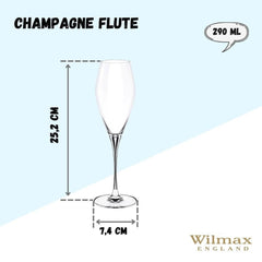 Wilmax Champagnerflöten 2-teilig, 290 ml, elegantes Kristallglas – WL-888050/2C