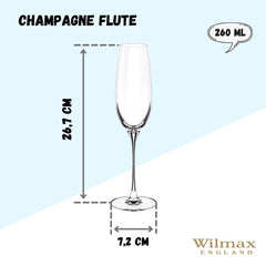 Wilmax Champagnerflöten Set 2-teilig, 260 ml, Kristallin WL-888048/2C