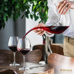 Wilmax Weinkaraffe aus Glas 900 ml WL-888347/1C