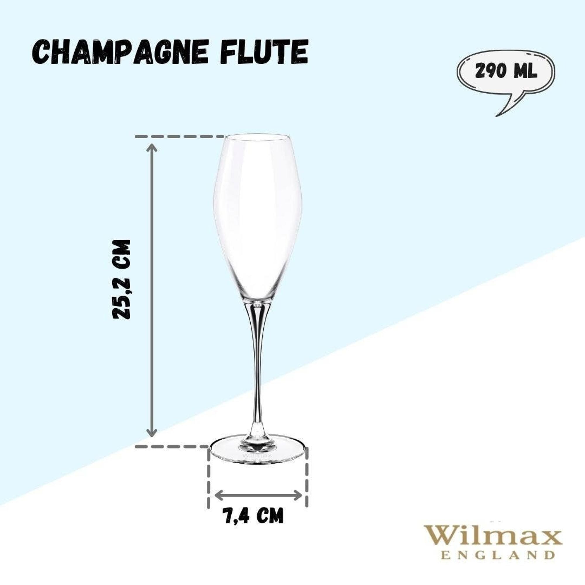 Wilmax Champagnerflöte 290 ml Kristallglas Transparent 2er Set WL-888050/2C