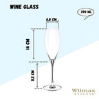 Wilmax Champagnerflöte 290 ml Kristallglas Transparent 2er Set WL-888050/2C