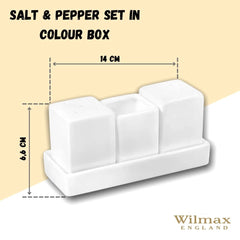Wilmax Salz- und Pfefferstreuer Set aus Porzellan, weiß – WL-996118/SP