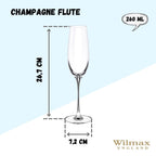 Wilmax Champagnerflöte 260 ml Kristallglas Transparent 2er Set WL-888048/2C