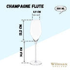 Wilmax Champagnerflöte 300 ml Kristallglas Transparent 2er Set WL-888104/2C