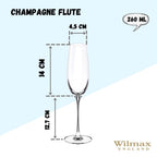 Wilmax Champagnerflöte 260 ml Kristallglas Transparent 2er Set WL-888048/2C