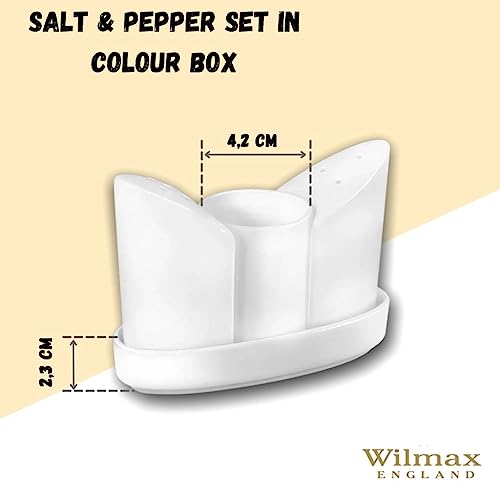 Wilmax WL-996117/1C Porzellan Salz- und Pfeffer Set, Weiss