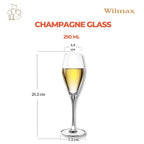 Wilmax Champagnerflöte 290 ml 2er-Set Transparent aus Wilmax Crystalline-Serie