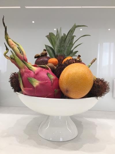 Wilmax Obstschale 24 × 11,5 cm Weiß aus Porzellan
