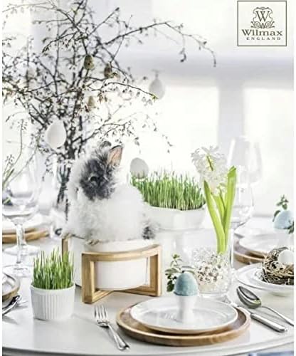Wilmax Schale 23 cm 3630 ml aus Porzellan, Weiß WL-992749/A