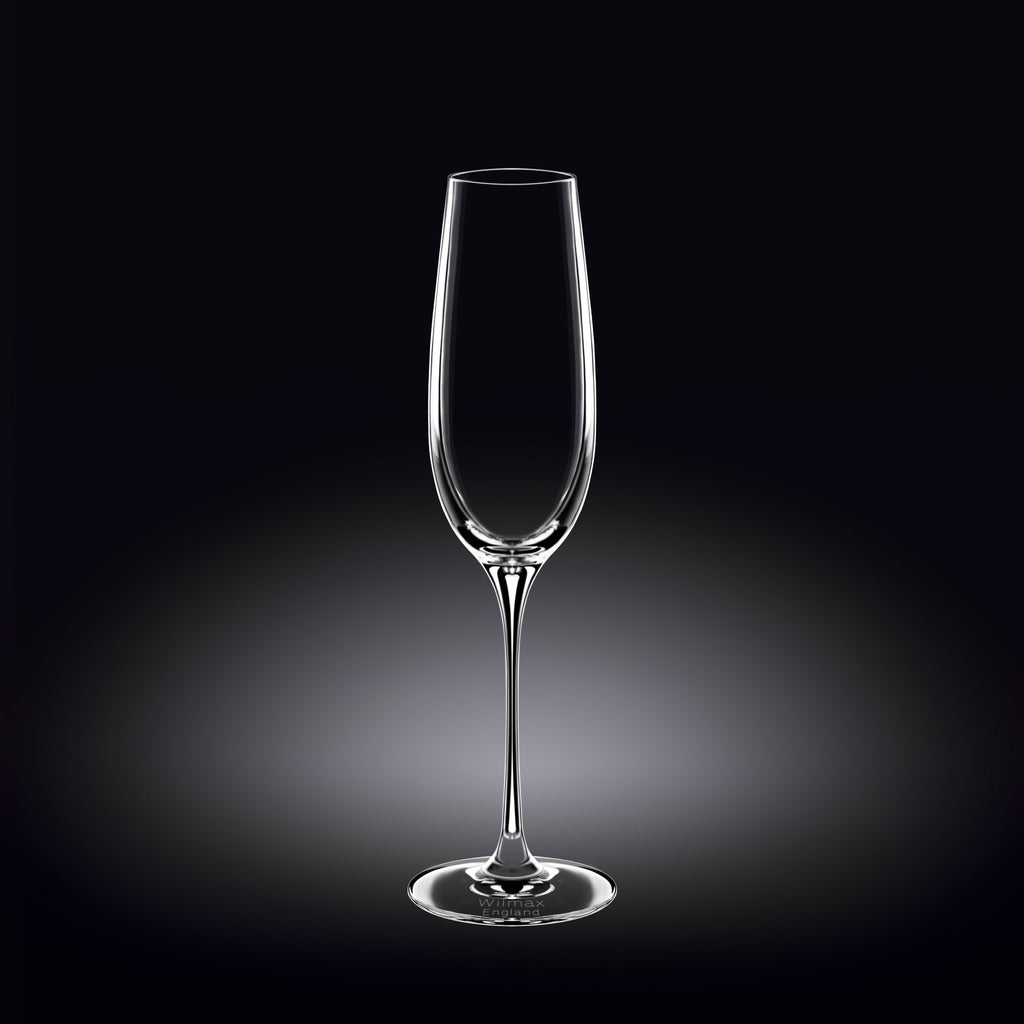 Wilmax Champagnerflöte 260 ml Kristallglas Transparent 2er Set WL-888048/2C