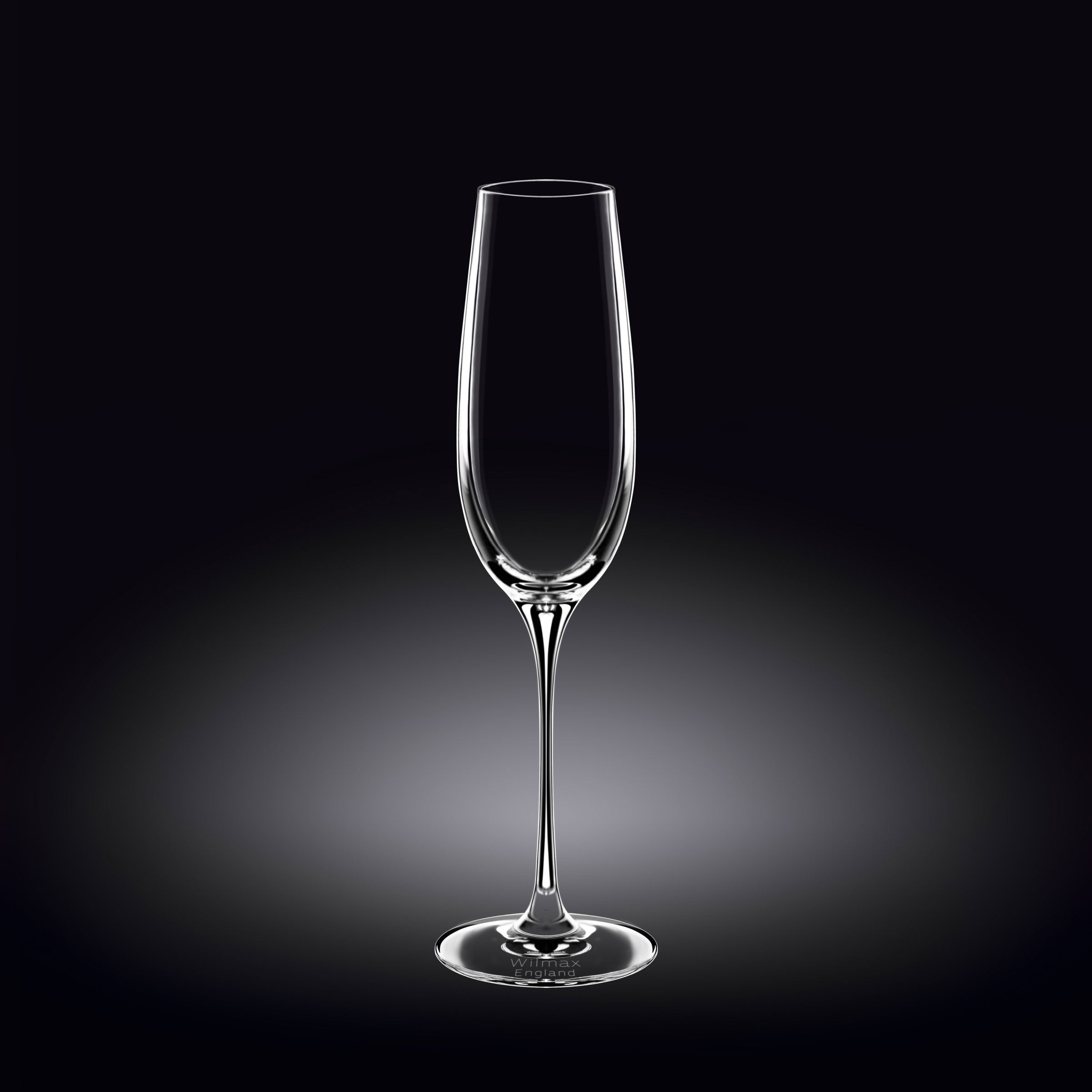 Wilmax Champagnerflöte 260 ml Kristallglas Transparent 2er Set WL-888048/2C