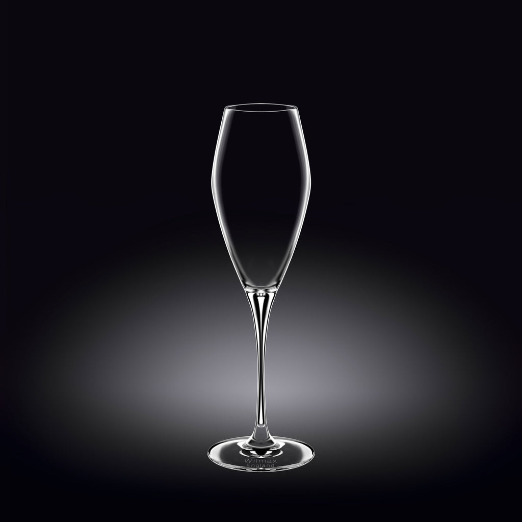 Wilmax Champagnerflöte 290 ml Kristallglas Transparent 2er Set WL-888050/2C