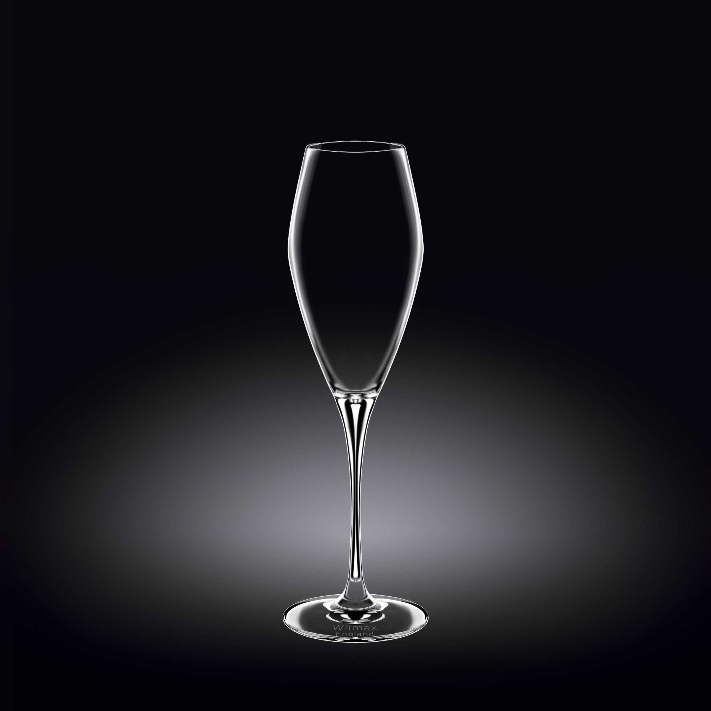Wilmax Champagnerflöte 290 ml Kristallglas Transparent 2er Set WL-888050/2C