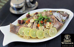 Wilmax Porzellan Fischplatte, 25,5 cm, WL-992007/A