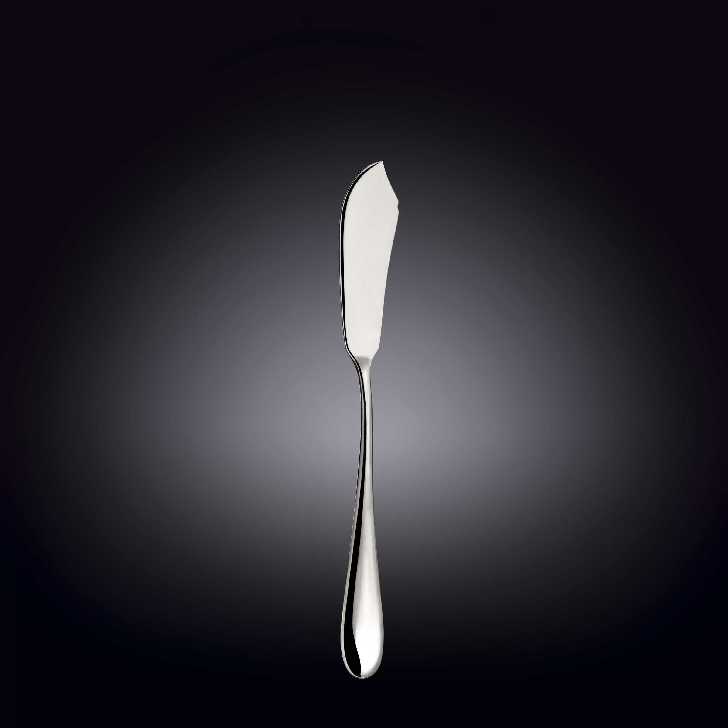 Wilmax Fischmesser 2er Set 20,5 cm Edelstahl WL-999109/2B