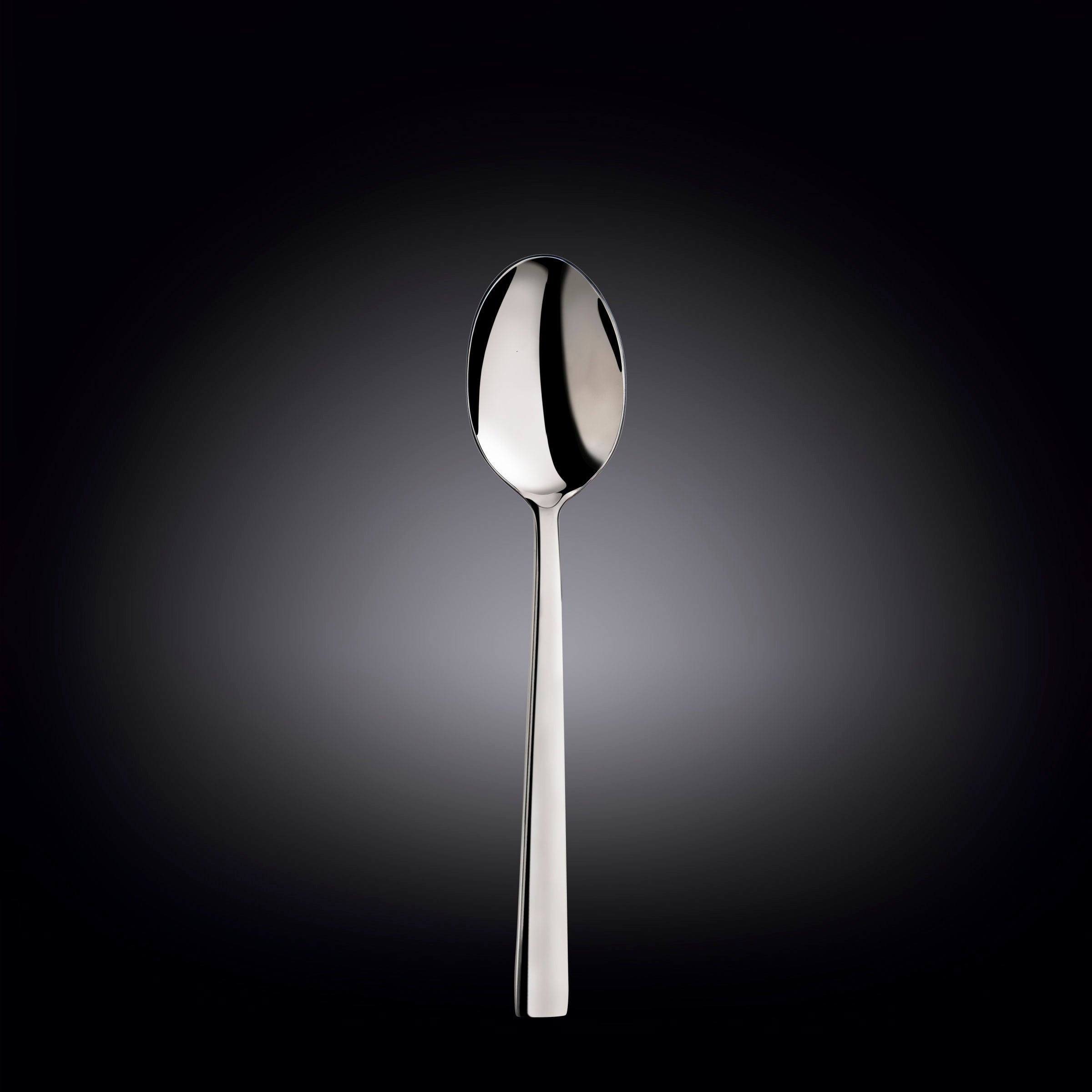Wilmax Esslöffel, 20 cm, Edelstahl, WL-999303/A
