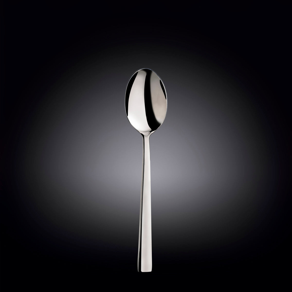 Wilmax Esslöffel 20 cm Silber aus Edelstahl