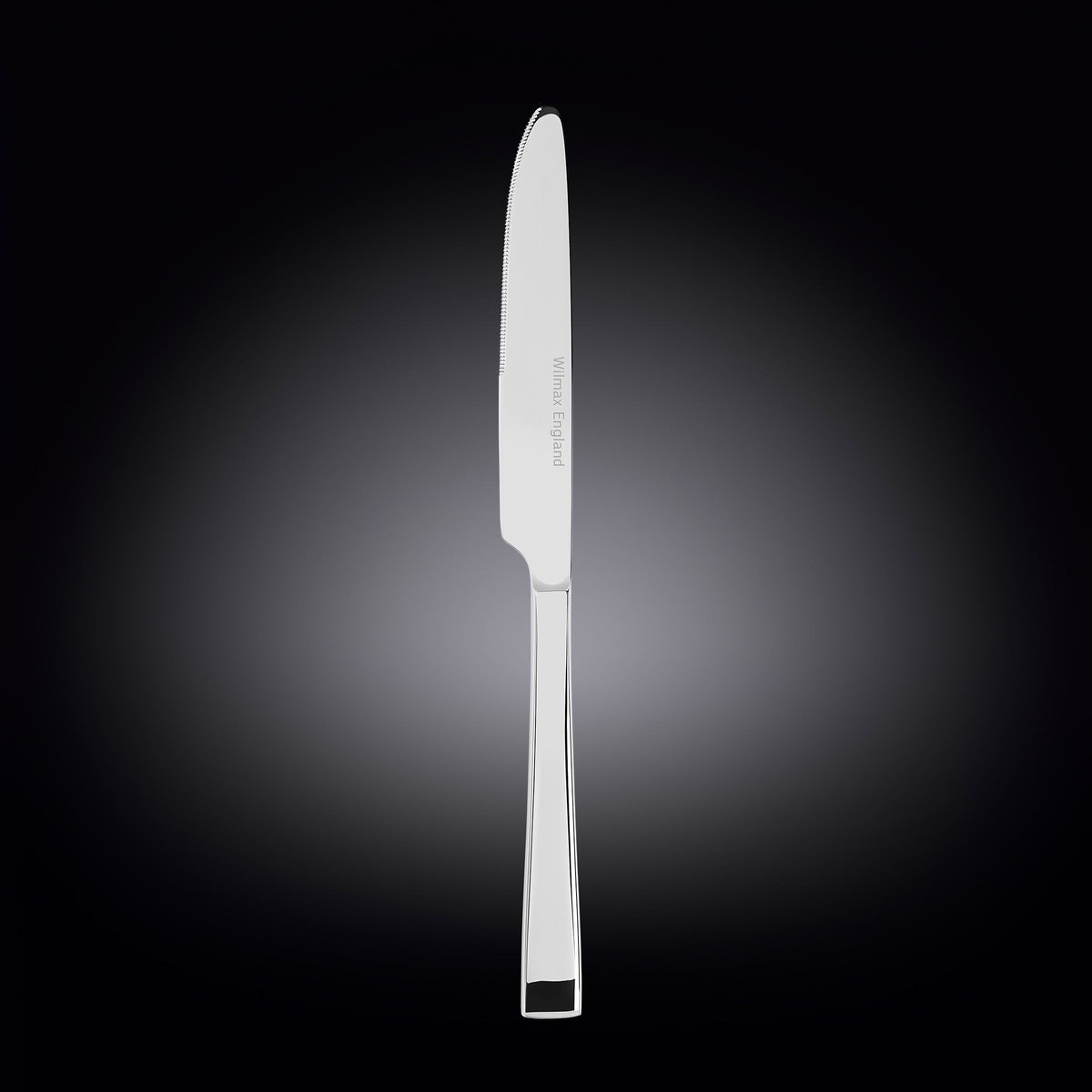 Wilmax Tafelmesser 24 cm Silber aus Edelstahl