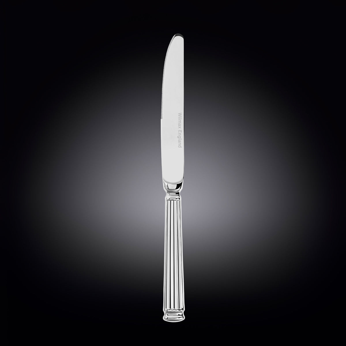 Wilmax Tafelmesser 24 cm Silber aus Edelstahl
