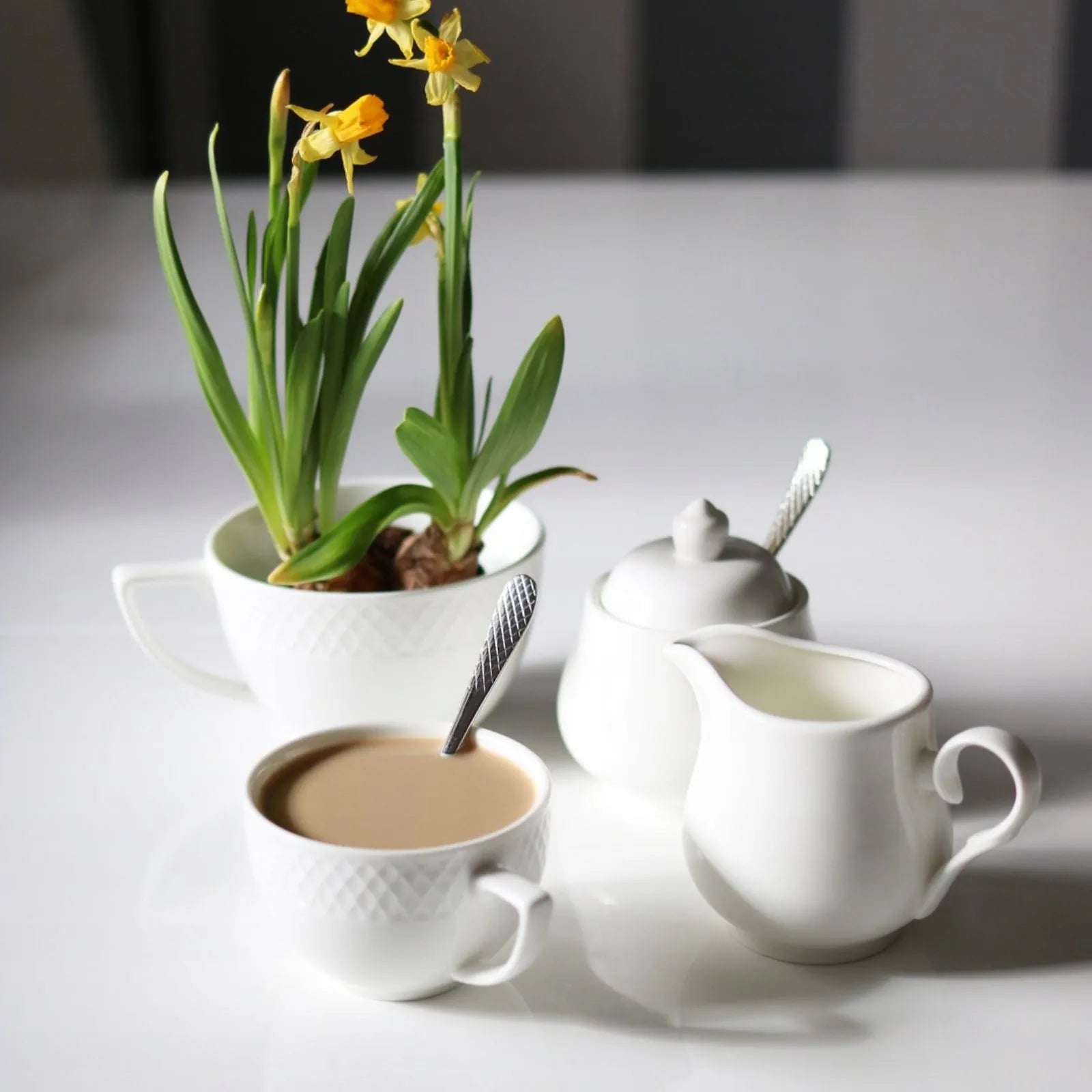 Wilmax Tasse mit Untertasse 240 ml 6er-Set Weiß aus Porzellan