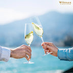 Wilmax Champagnerflöte 260 ml Kristallglas Transparent 2er Set WL-888048/2C