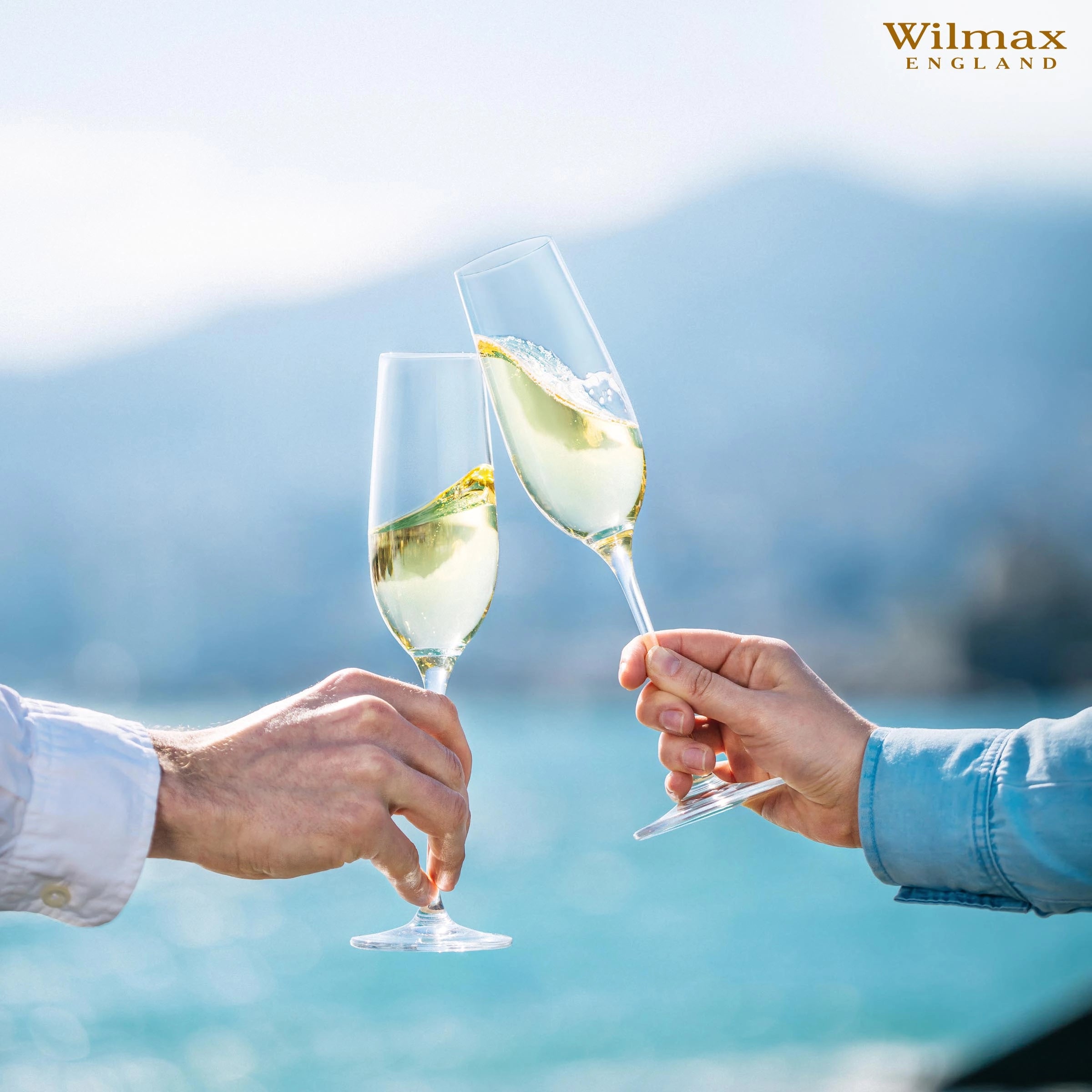 Wilmax Champagnerflöte 260 ml Kristallglas Transparent 2er Set WL-888048/2C