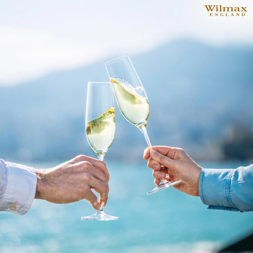 Wilmax Champagnerflöte 260 ml Kristallglas Transparent 2er Set WL-888048/2C
